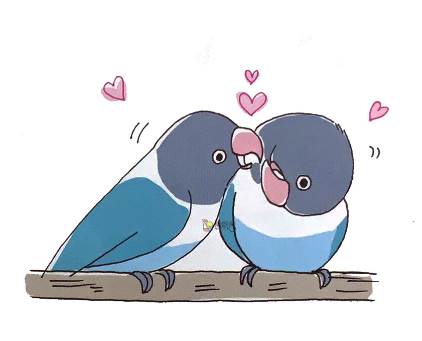 鹦鹉最易患上的疾病,鹦鹉喙部疾病