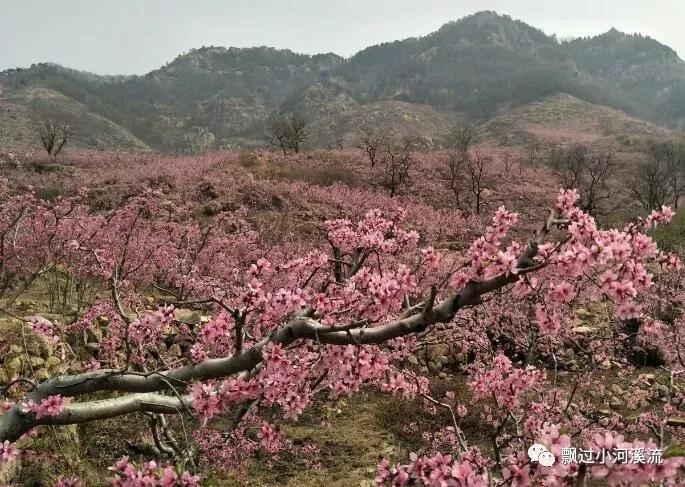 孤独前行（舞文弄墨，自得其乐）