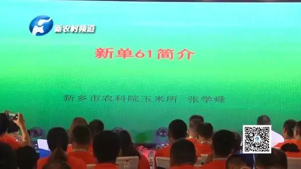 鸿翔集团年会,鸿翔年会