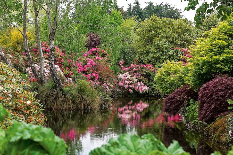 在新西兰奥克兰生活,在新西兰生活的优势