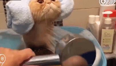 宝宝肚脐鼓起一个大包,宝宝肚脐鼓包