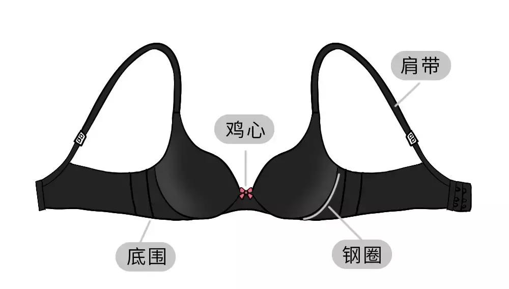 你对女生一无所知,你对内衣到底有多少误解