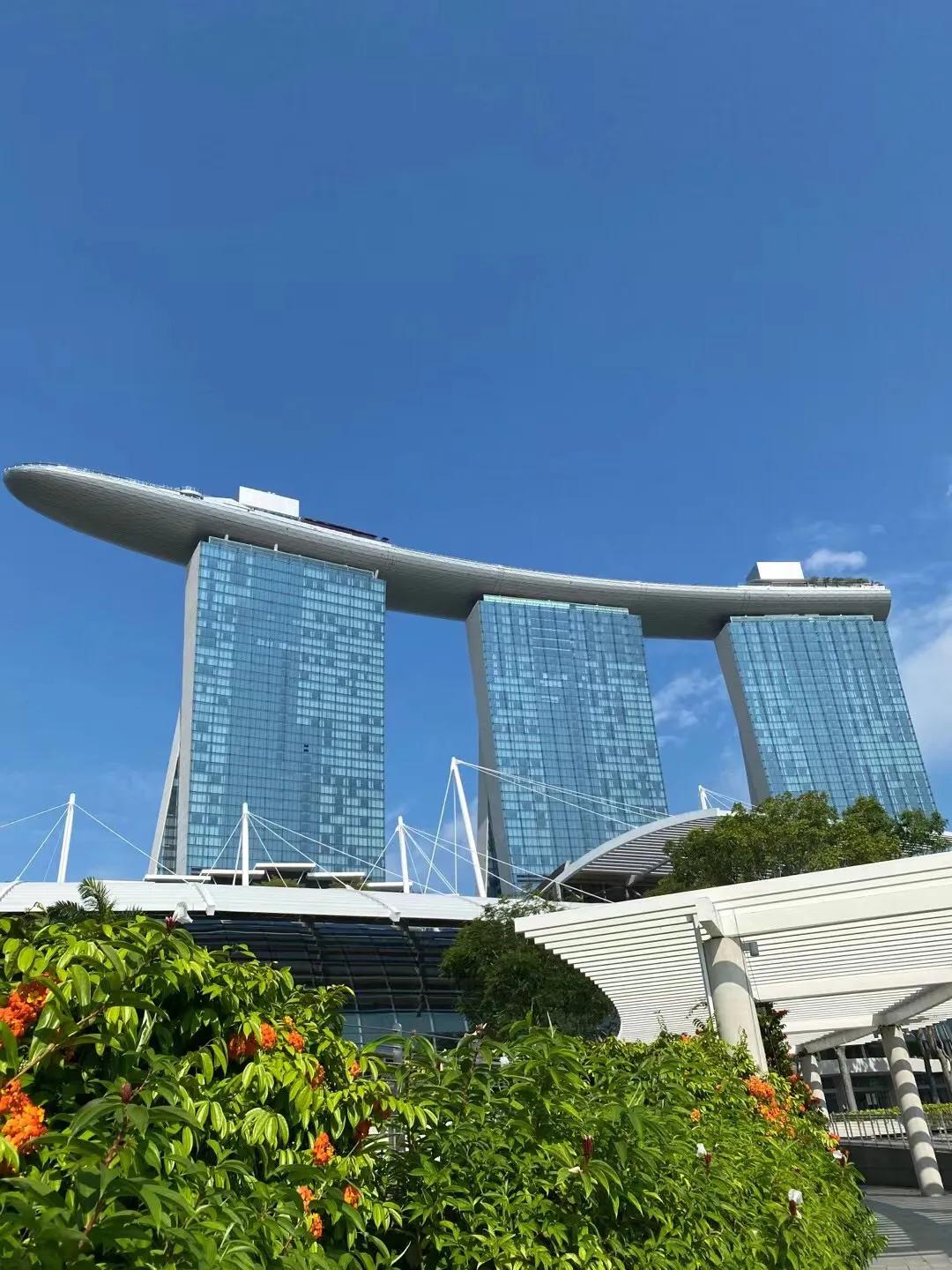 新加坡滨海湾花园温室,新加坡金沙滨海湾花园图片