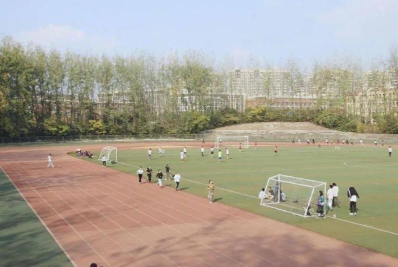 南京大学金陵学院为什么停止招生,南大金陵学院停办没有母校怎么办