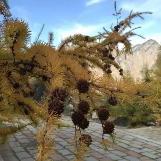 旅行是为了遇见更好的自己,原创旅途愉快