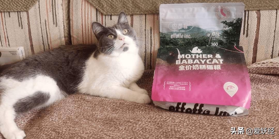 软便精有救了？干了这碗粮，养胃又护肠