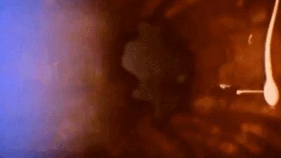 每一个都那么拼命前进，我们还好意思去选择性别吗？