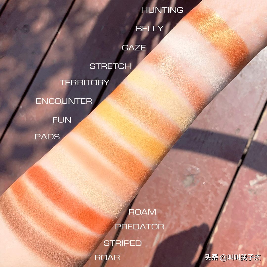 不用代购的平价产品有哪些,不超过100块钱的平价眼影盘推荐