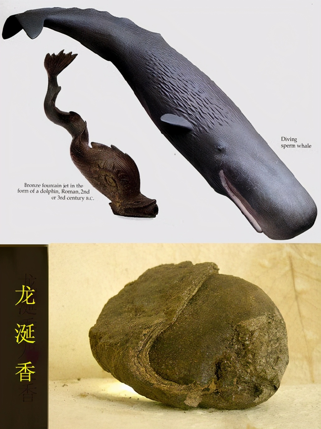 中国香道制香有几种类型,香道制香方法图解