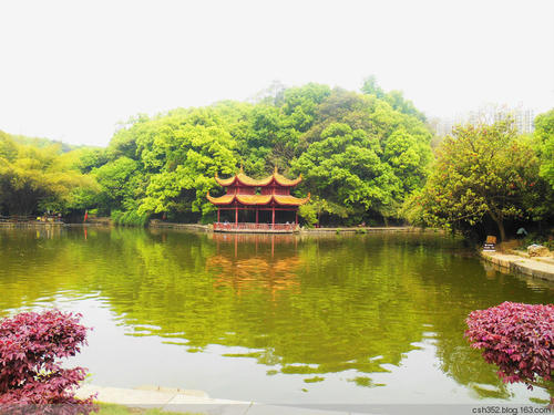 长沙风景拍摄取景地,长沙有哪些地方好拍照