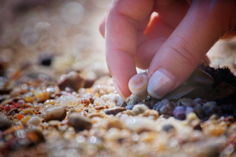 索尼a6000可以录像吗,索尼6000有自动跟焦吗