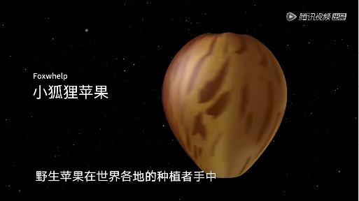 据说水果涨价，跟这剧的大火有点关系