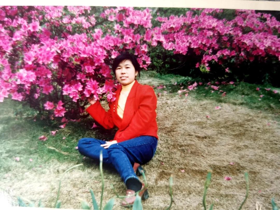 喜剧电影你好李焕英,你好李焕英全部合集