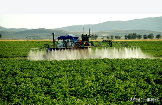 民丰马铃薯种业有限公司,内蒙古民丰种业有限公司