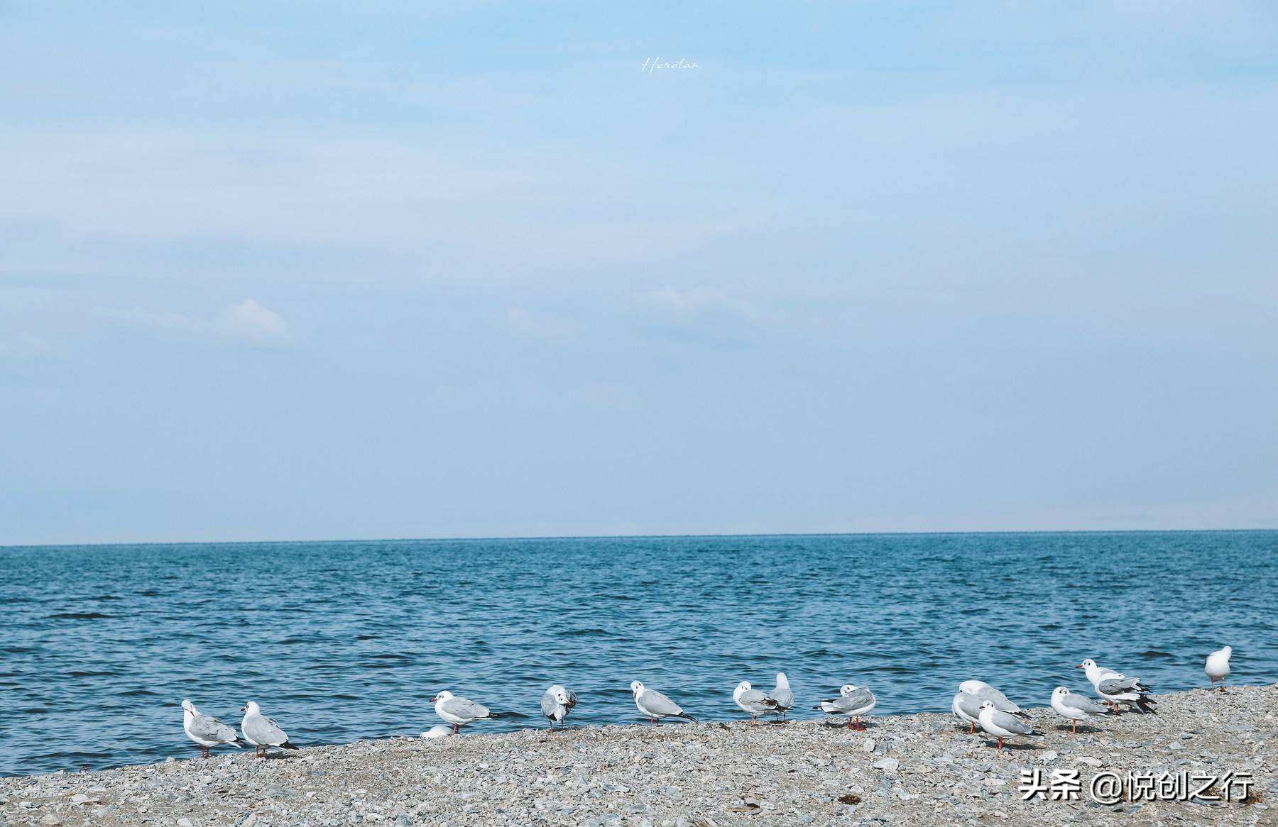 聊聊山东师范大学,山东师范大学怎么样呢