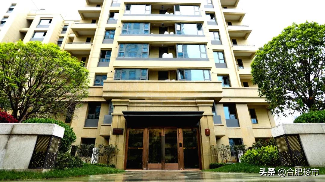 滨湖新区新盘,滨湖新区高档楼盘样板房