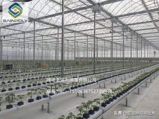 阴雨天怎样降低大棚湿度,草莓大棚湿度大怎么降低湿度