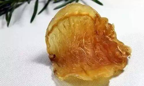 鱼胶知识大全视频,最全常识看完涨知识