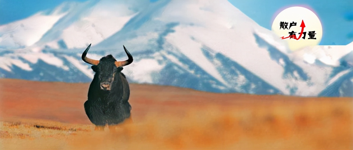 站稳2800点好不好,站稳四小时线