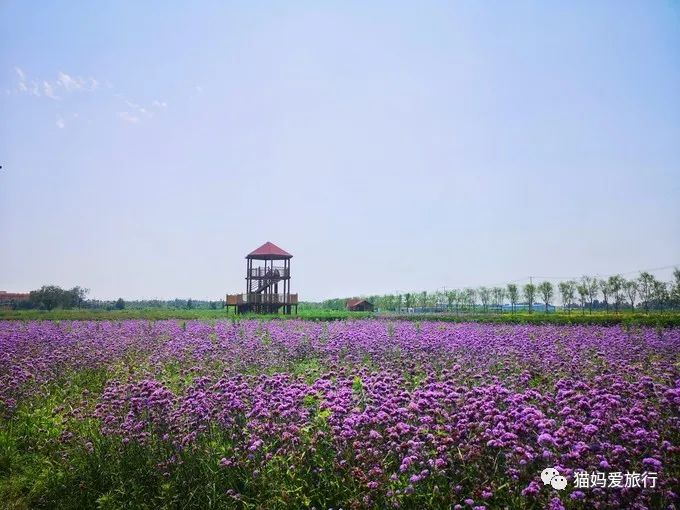 齐河附近带孩子自驾游景点,周边亲子游齐河