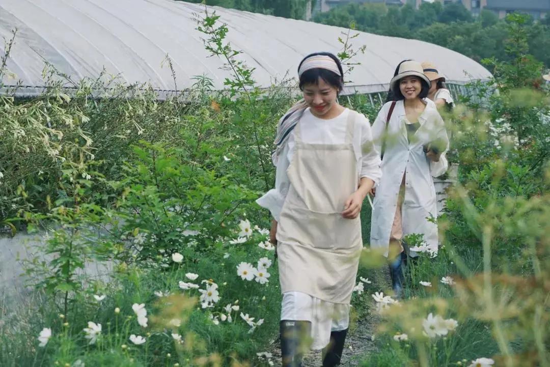 最会说情话的人全集,最会说情话的人