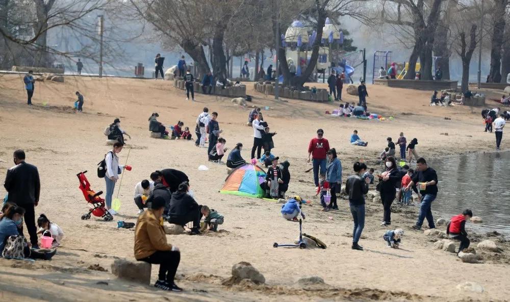 长春街头今天视频,长春街头多了一道靓丽风景线