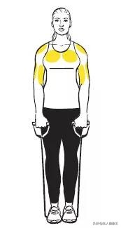 划船动作训练背阔肌,背部训练动作俯身划船