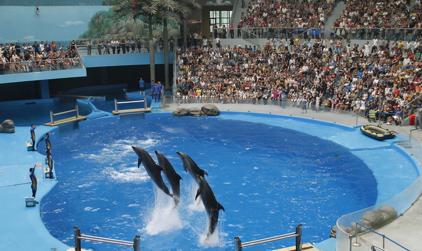 太原海洋大世界赶海公园,太原海洋公园游玩攻略