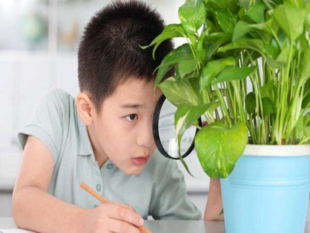 孩子孤僻不爱和人交流怎么办,小孩性格孤僻不愿意交际怎么办