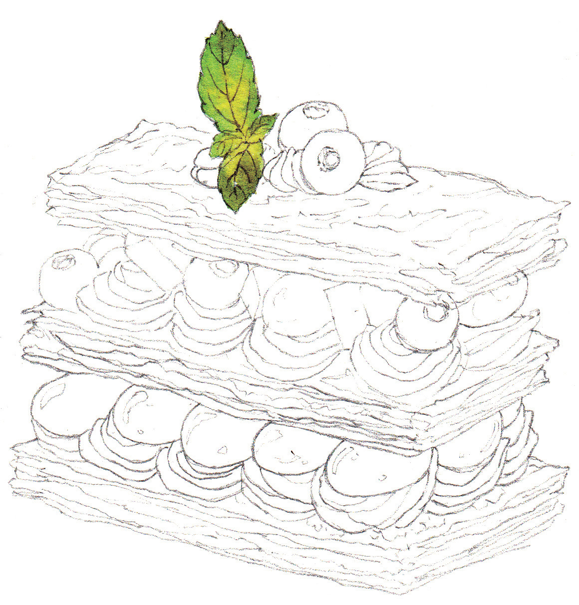 水彩葡萄蛋糕画法,水彩精致甜品教程