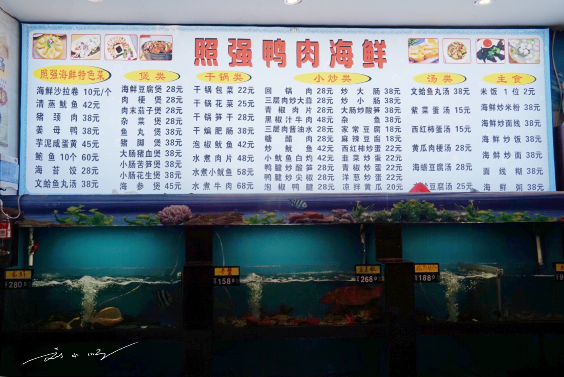 厦门海鲜大排档视频,厦门不宰客海鲜大排档