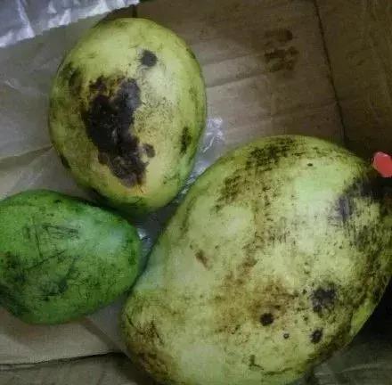 拼多多买水果攻略,拼多多买水果平台