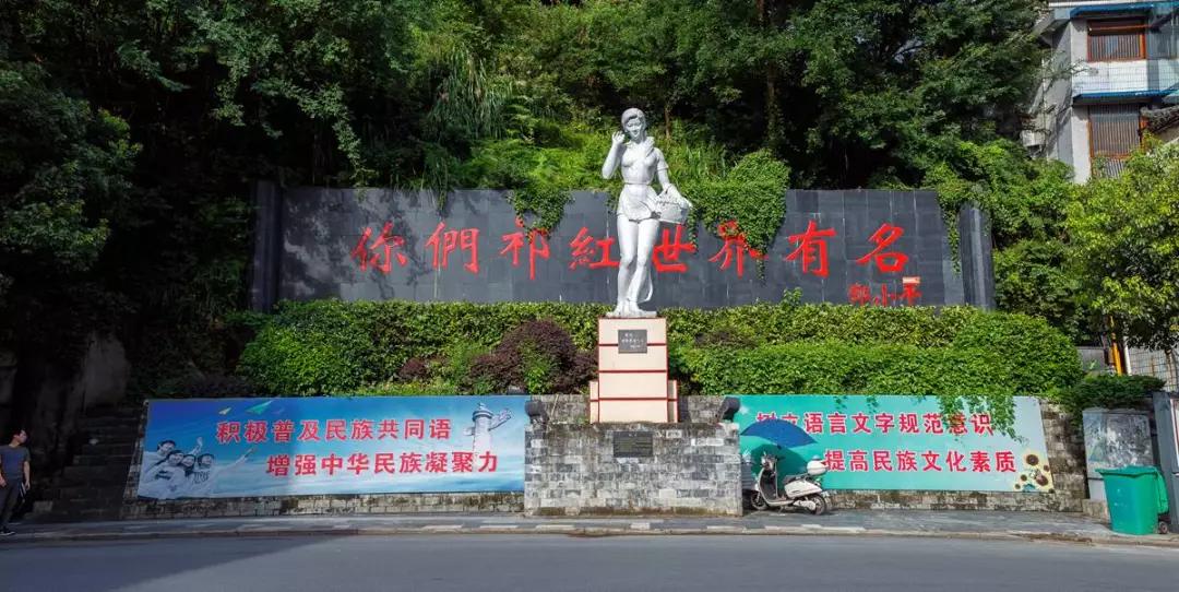 细说祁门红茶,茶知识祁门红茶