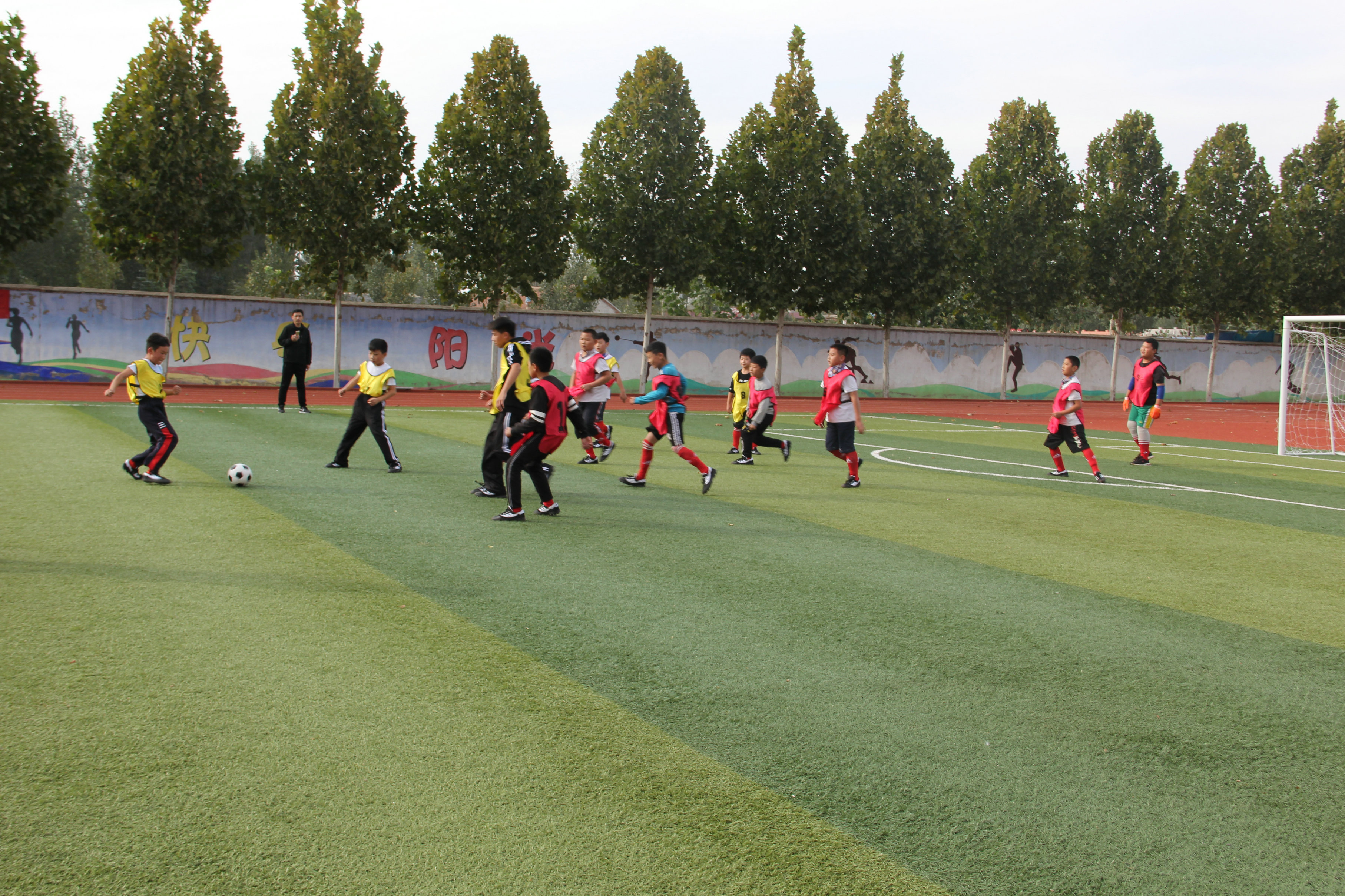 驰骋绿茵场足球争霸,驰骋绿茵场少年梦飞扬