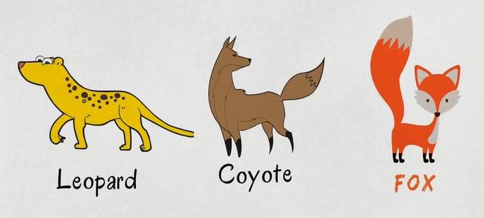 描述动物特征的英文词汇,动物英文词汇1000词