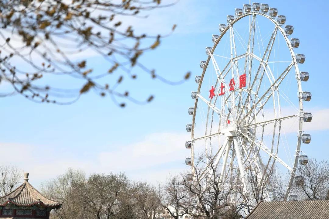 一个不出郑州的踏青好去处,天津春游公园推荐