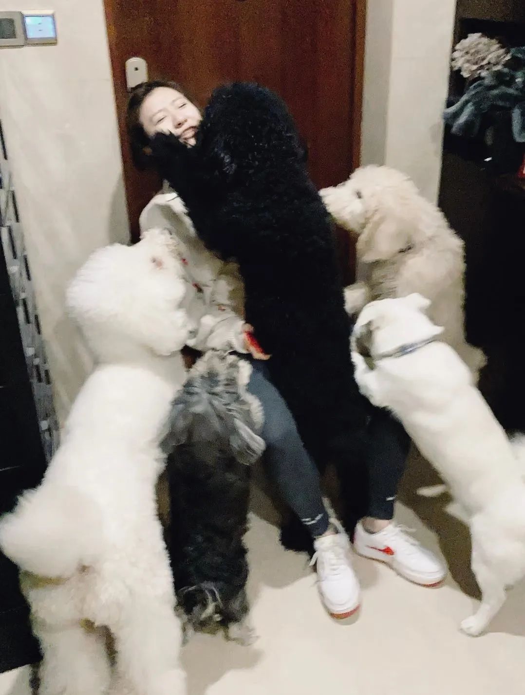 「椒霸霸×1CAKE」联名来啦！只要28.9元，和爱宠共享悠然午后