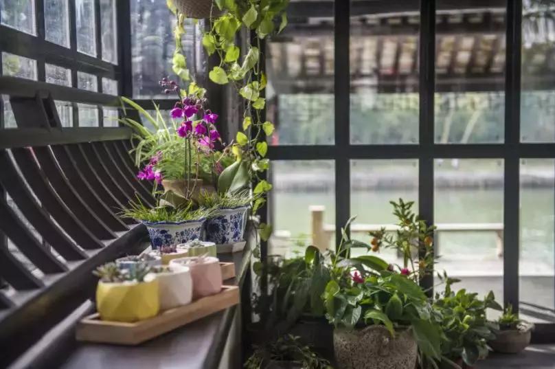 沙家浜风景区老街,沙家浜的民俗老街