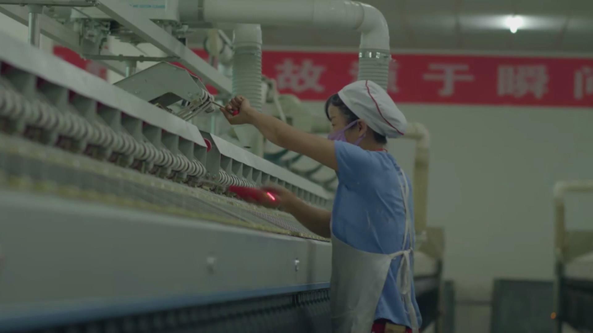 在那“桃”花盛开的地方——眉县荣获全市目标责任考核“九连冠”探析