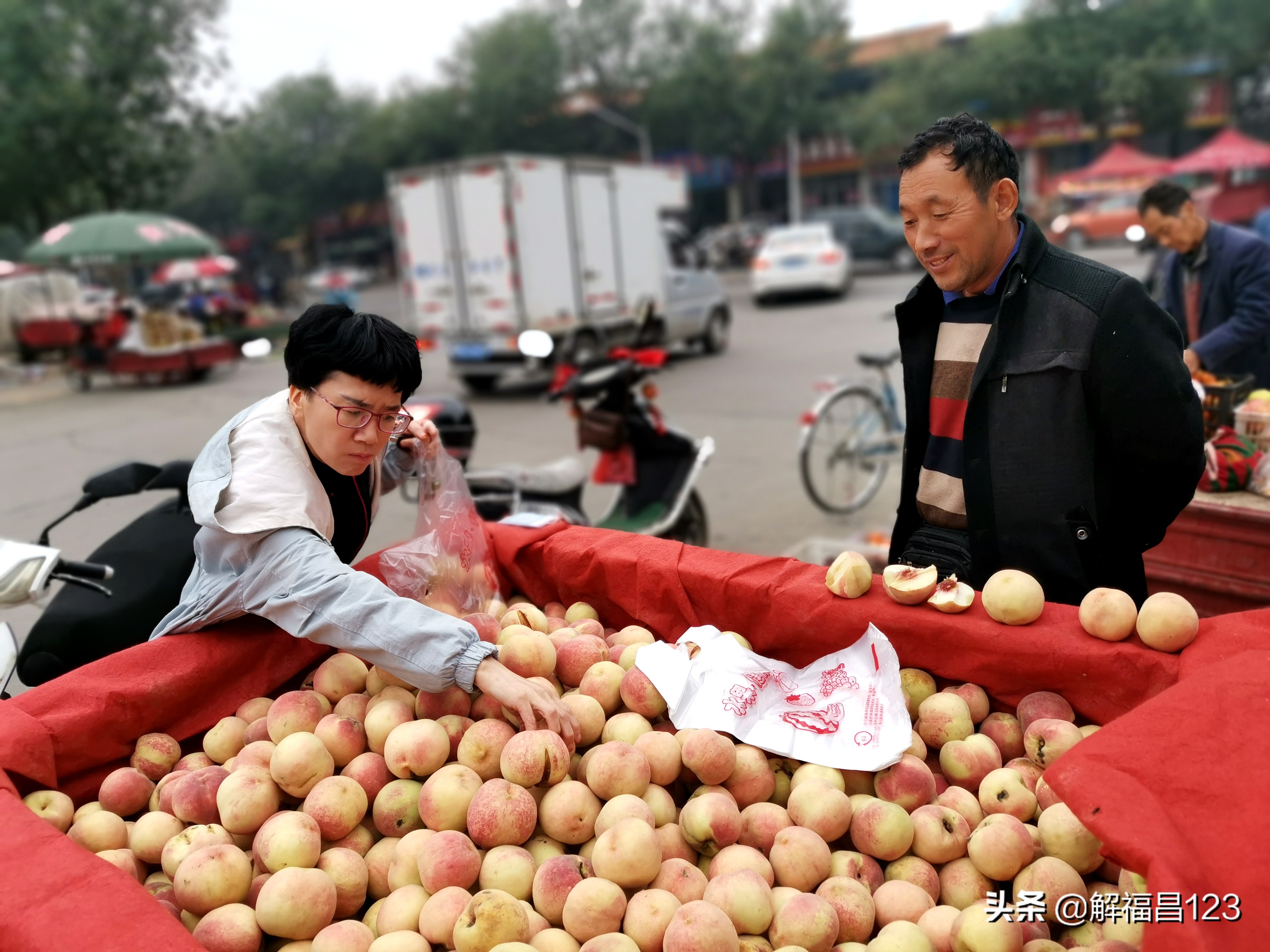 300亩晚熟桃多少钱 (晚熟桃多少钱一亩)
