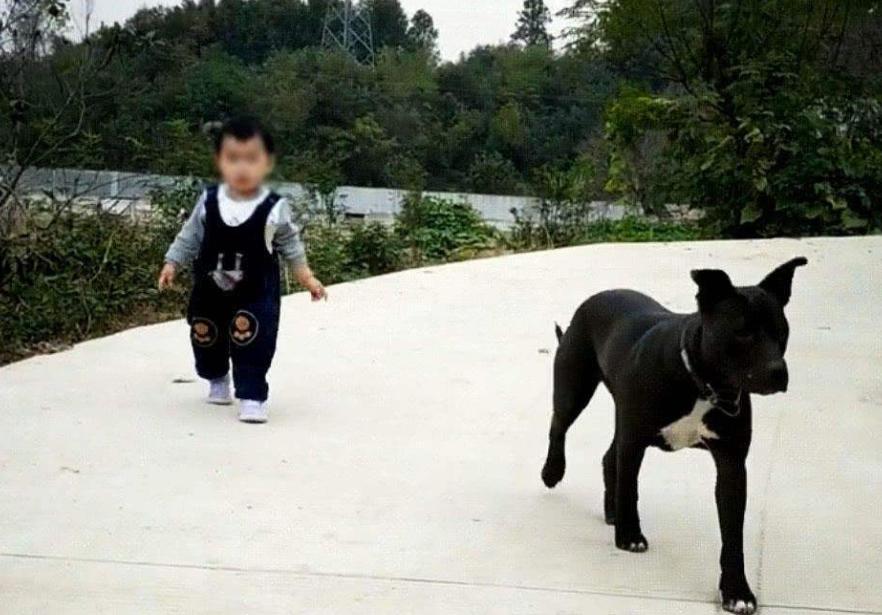 孩子玩滑滑梯屁股被烫伤,孩子玩滑梯摔了屁股