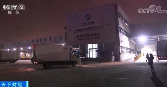 顶级蓝鳍金枪鱼美食,进博探营美食攻略