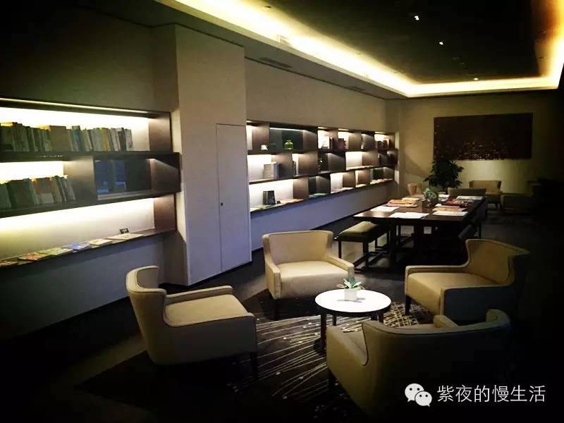 苏州带宠物去的古镇,苏州小众宠物乐园推荐