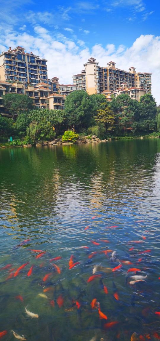 东骏湖景湾,东骏湖景湾209平