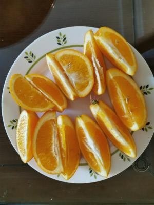 脐橙防治疮痂病以波尔多液为最好,脐橙上疮痂病如何防治