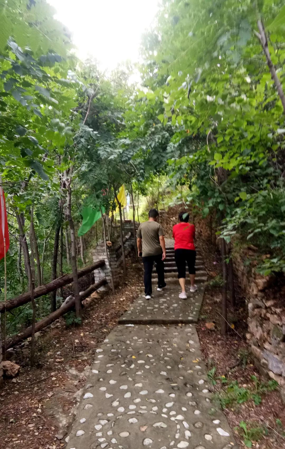 鑱氶緳灞辫幉鑺辨礊瑙嗛,姝﹀畨鑾茶姳娲炶仛榫欏北