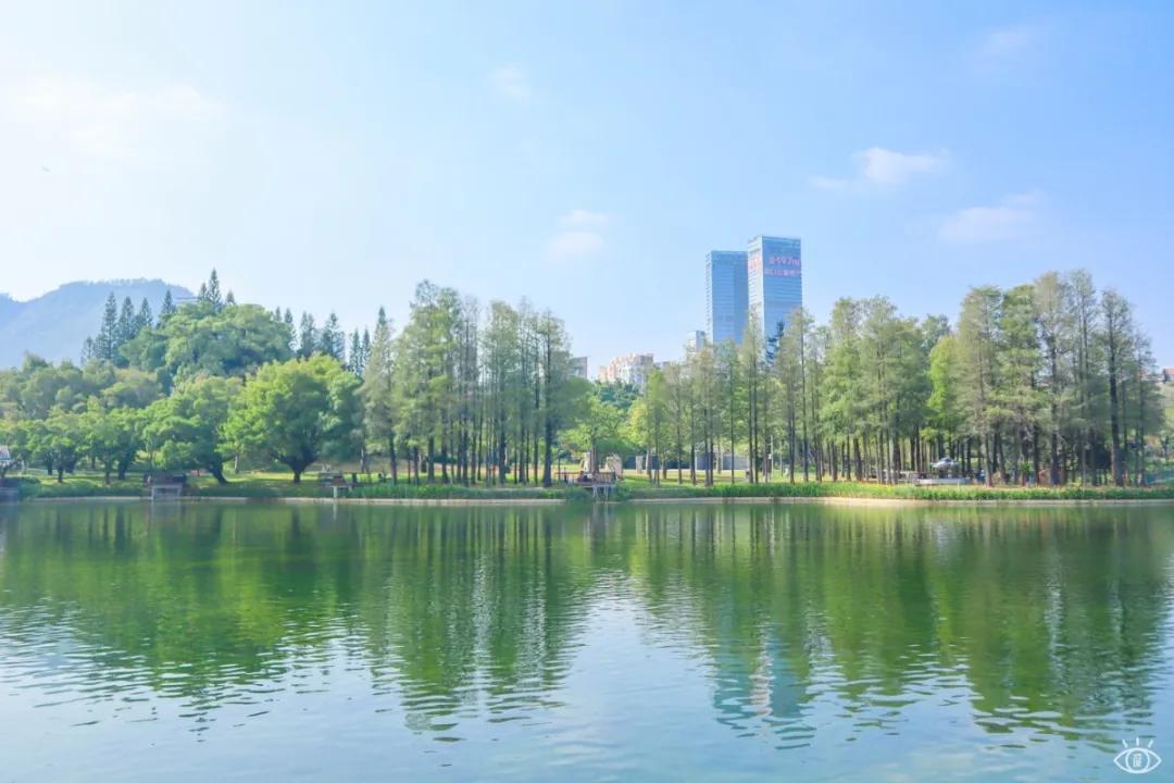 深圳免费景点好玩排名,深圳这些新公园免费玩