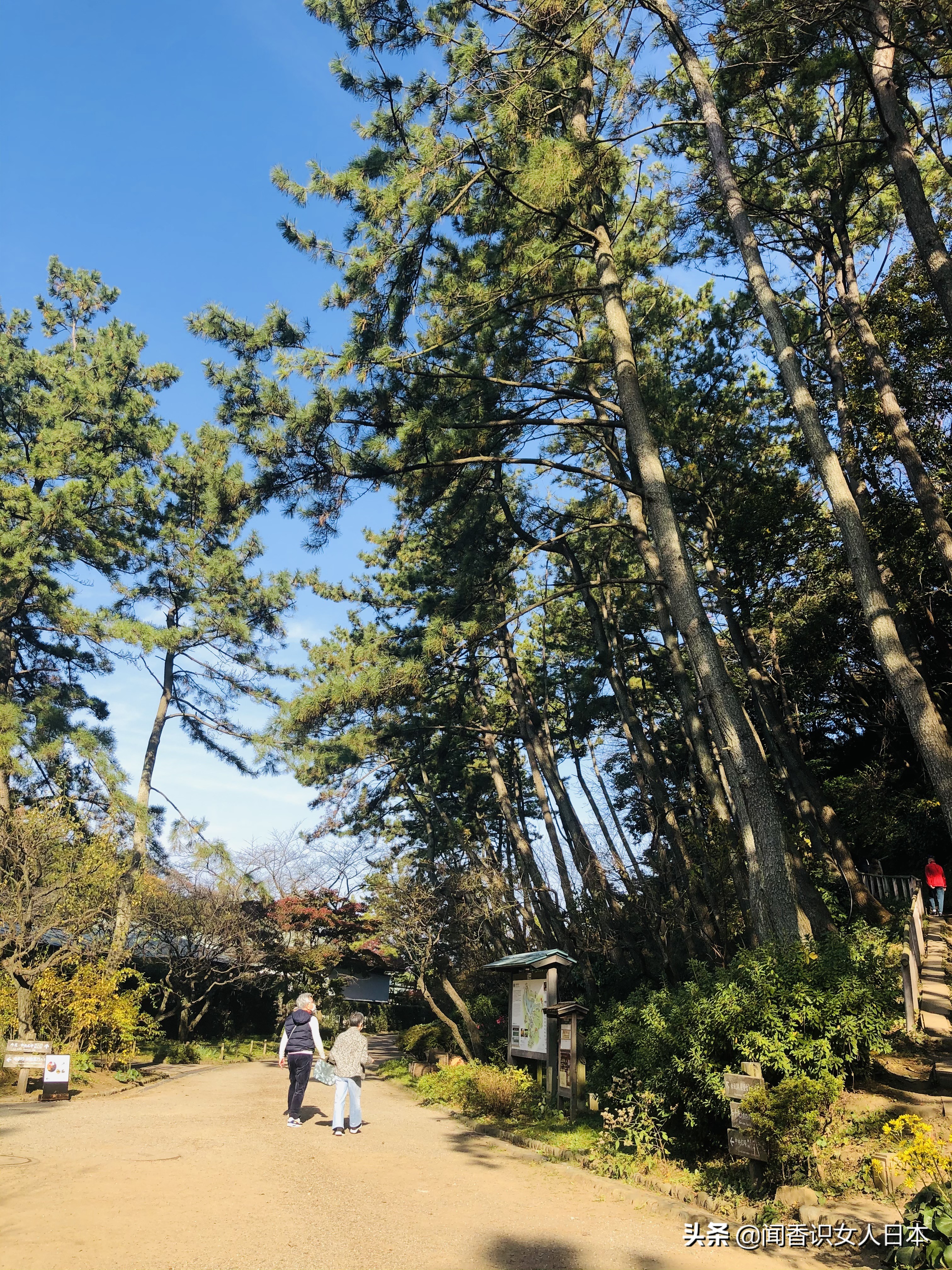 横滨三溪园,横滨三溪园介绍