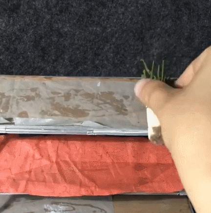 90后母亲被骗,90后妈妈因造假走红