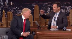 最毒的毛毛虫是哪一只,史上十大最毒毛毛虫排行榜